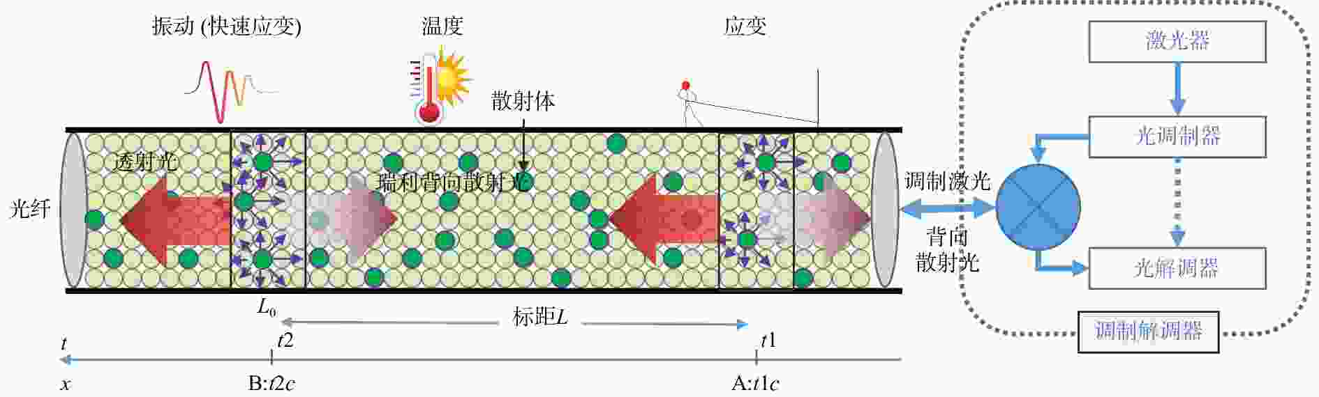 光纤振动传感之二 基于散射或透射光的本征传感及其地震学应用